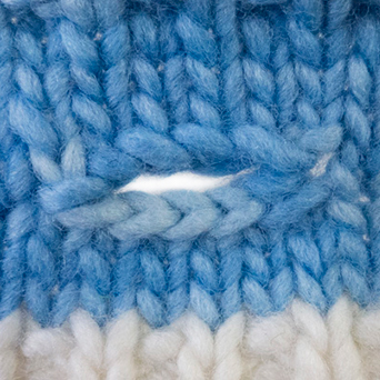 Tulips buttonhole in blue yarn on white sampler