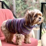 Seamless Dog Sweaters Rule!